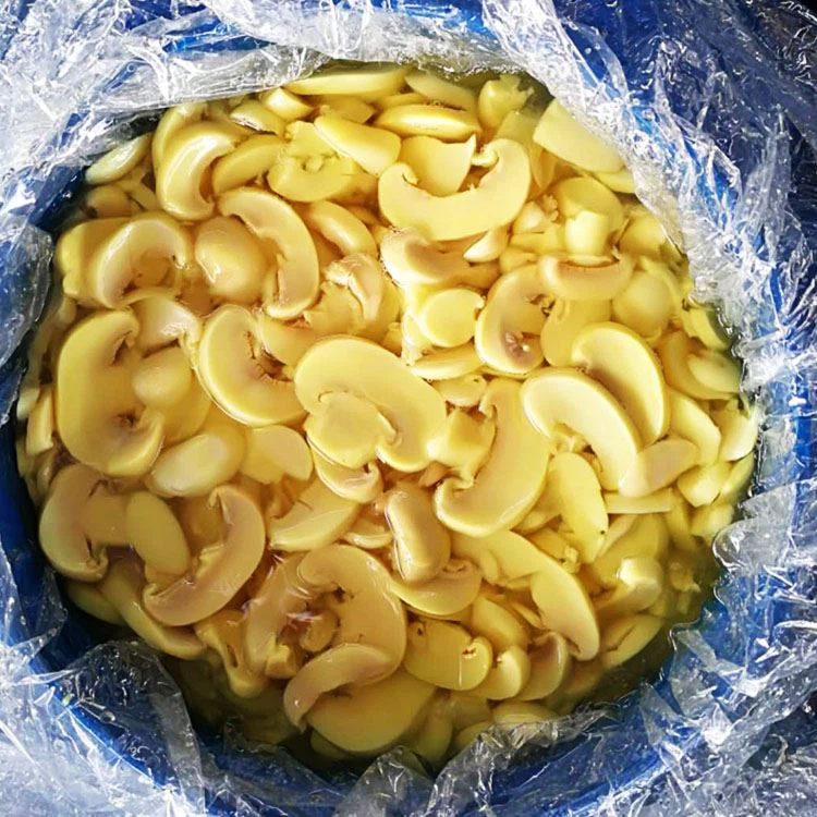 Mushroom In SO2 In Drum