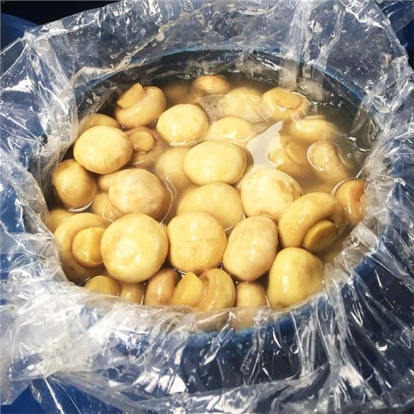 ブラインのシャンピニオンアガリクスビスポラス