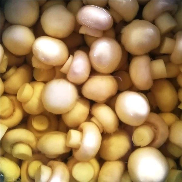 塩水でアガリクスを追いかける