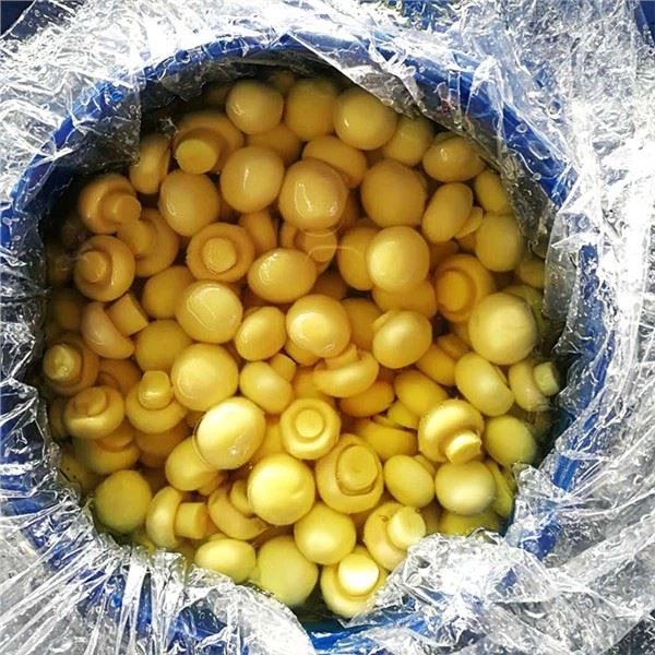 きのこグレードA