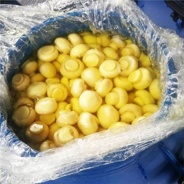 キノコグレードB