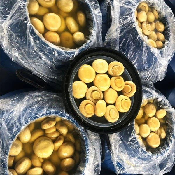 開封したキノコは、塩水に漬けてどのように保存すればよいですか？