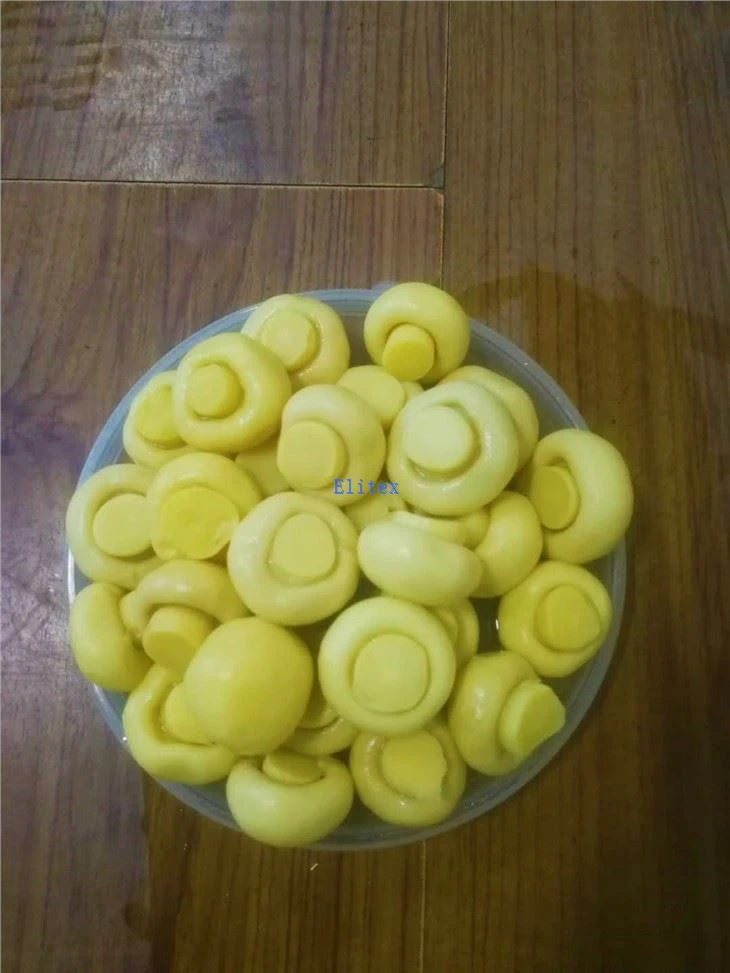 Salted Medicine Mushroom In Drum