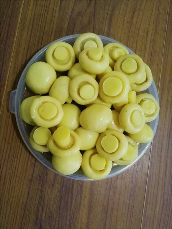 丸ごとブラインの新鮮なキノコ
